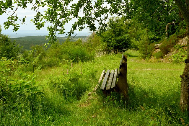 而是他能够 而是他能够