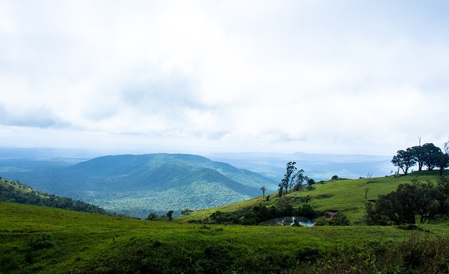 传球和控球 传球和控球
