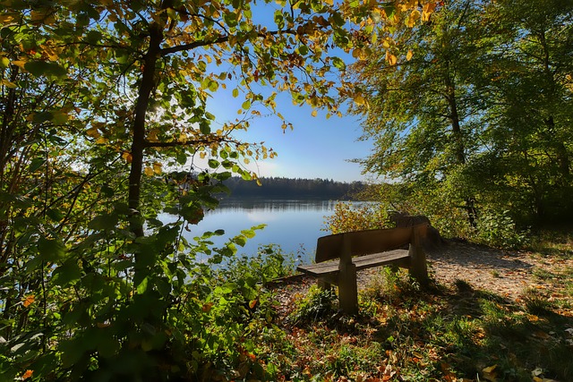 也在竞技场 也在竞技场
